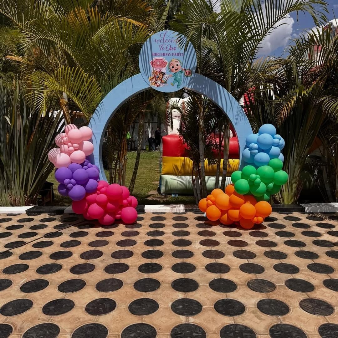 Themed Entrance Arch for Home Events and Birthday Parties in Nairobi - view 8